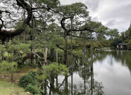 公式ホームページ 院長コラム スタッフブログ更新しました