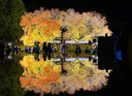 公式ホームページ 院長コラム スタッフブログ更新しました